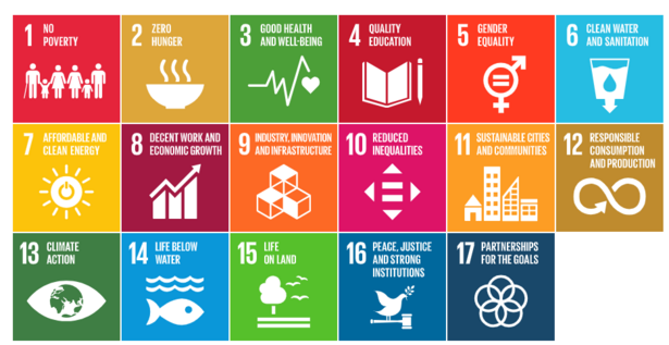 SDGs Overview of the Goals