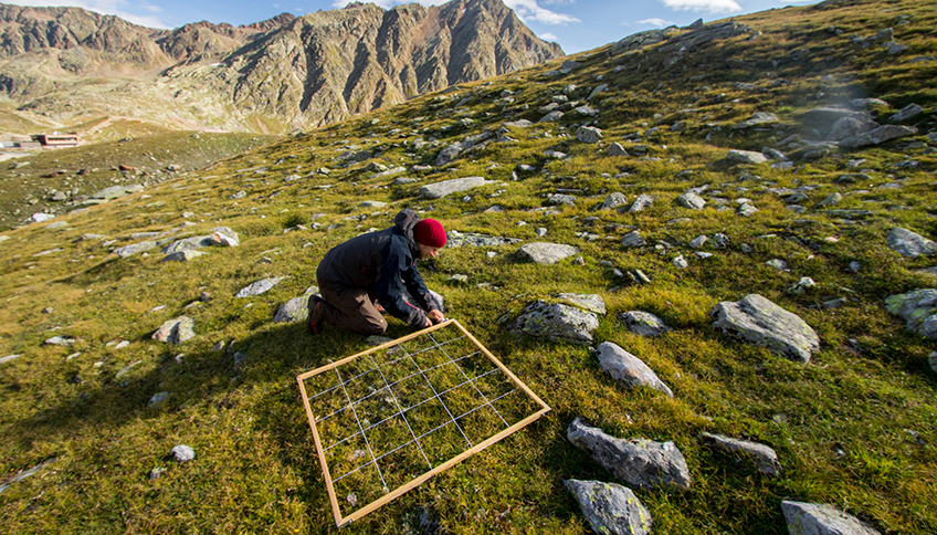 Im Hintergrund schroffe Berge. Im Vordergrund ein Forscher, der auf einer kargen Hochgebirgswiese kniet und mit einem 1-Quadratmeter-Raster den Pflanzenbestand aufnimmt.
